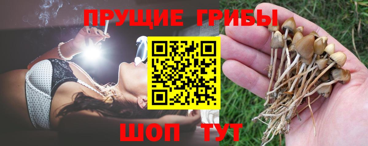 Стрежевой  дарнет шоп  Вход с VPN  Галлюциногенные грибы прущие грибы  Галлюциногенные грибы GOLDEN TEACHER 